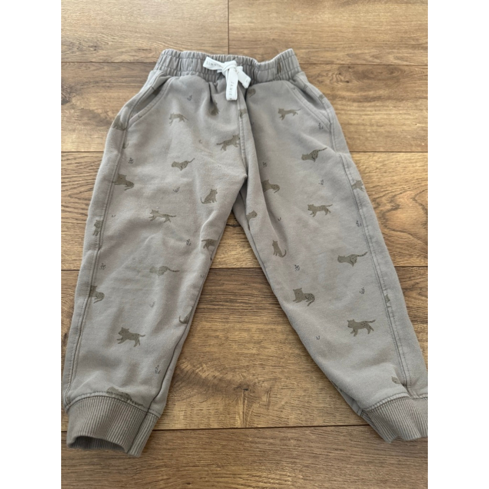 Boys Jamie Kay Sweatpants & Joggers 3T Gray